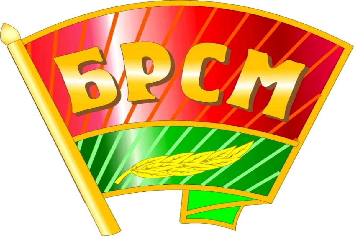 Внедрение 1С в Брестской областной организации общественного объединения "Белорусский республиканский союз молодежи"