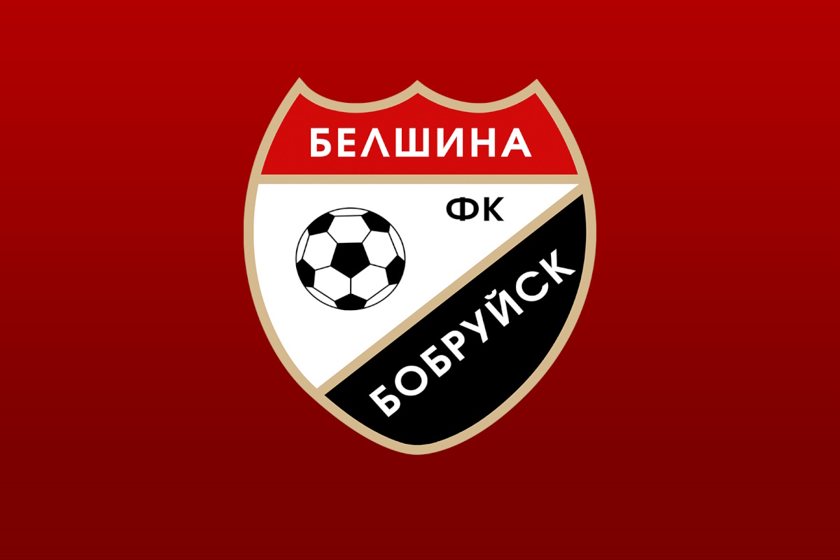 Внедрение 1С в Государственном учреждении "Бобруйский футбольный клуб "Белшина"