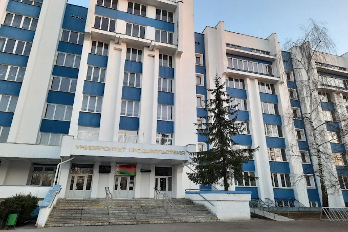 Внедрение 1С в Учреждении образования "Белорусский государственный университет пищевых и химических технологий (БГУТ)"